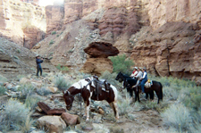 USA-Utah-Colorado Plateau - San Rafael Swell Rides